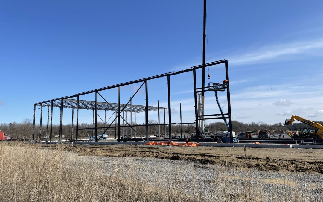 Steel is going up at 404 Logistics Park, Keswick